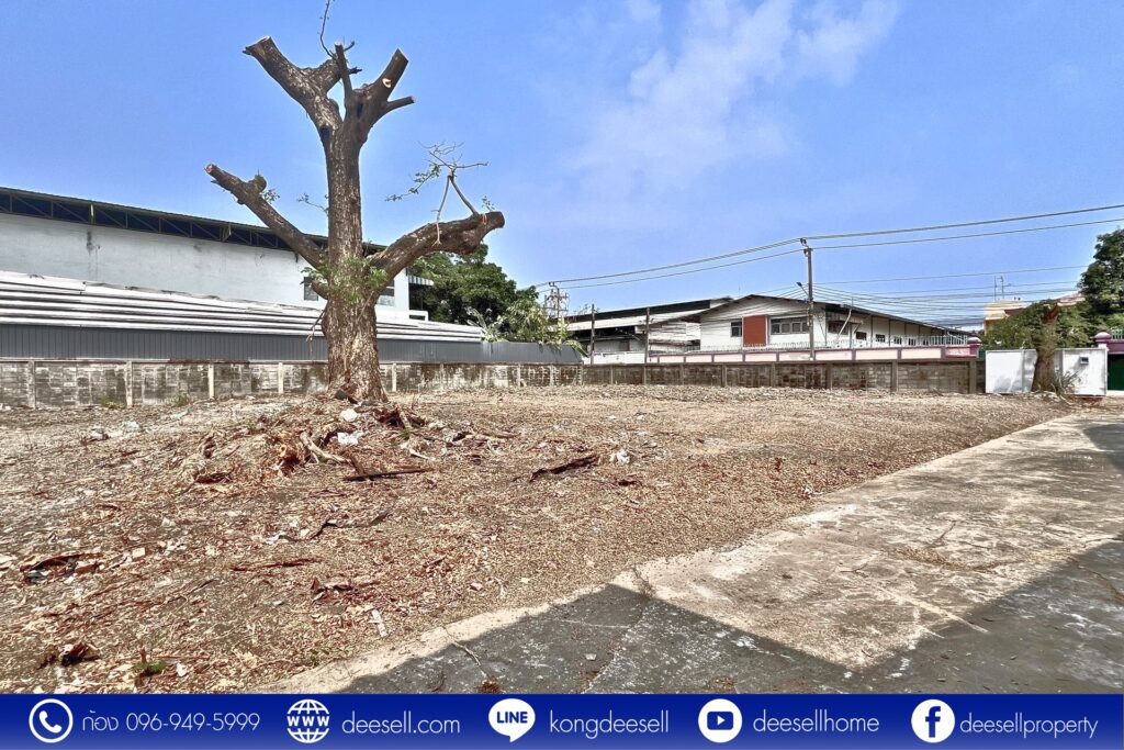 ขายที่ดิน หนองแขม
