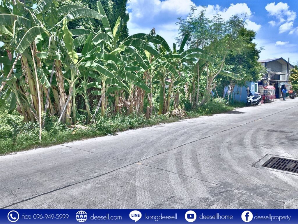 ที่ดิน นนทบุรี